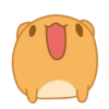 Orange Capoo 19