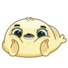 Polar Pup 24