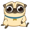 Puga the Dog 22