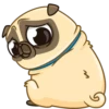 Puga the Dog 23