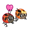 Ladyboo 23