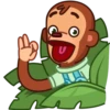 Monkey Puppet 24