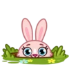 Mia Bunny 29