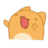 Orange Capoo 20