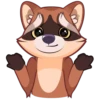 Proha Raccoon 30