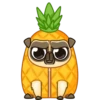 Puga the Dog 24