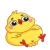 chick_anim 20
