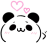🐼Panda & conejito kawaii MOV.🐰💕 6