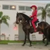 🧿El Jefe Shakira Fuerza Regida🎶🎤 8