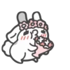 White Rabbit 8