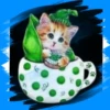 Gatitos tiernos💞3🇵🇪Movi 9
