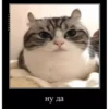 basicss but video 6