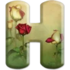 💞 ABCDARIO 💞1377💞 7