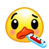 Duck Emoji 7