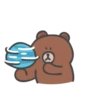 Blue Bear Brown Bear 10