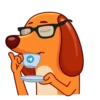 Salchicha Dog 6