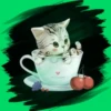Gatitos tiernos💞3🇵🇪Movi 10