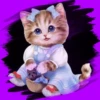 Gatitos tiernos💞3🇵🇪Movi 12