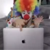 5.16 Payaso quede 10