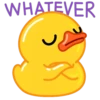 Duck 5