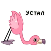 pinki_foxdizigner 12