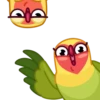 Lovebirds 8