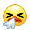 Duck Emoji 13