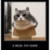 basicss but video 8
