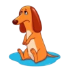 Salchicha Dog 9