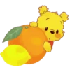 WINNIE POOH CITRUS  BLANCA AT 11
