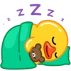 Duck 9