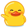 Duck 10