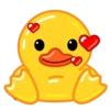 Duck 11