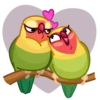 Lovebirds 11