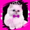 Gatitos tiernos💞3🇵🇪Movi 18