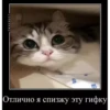 basicss but video 11