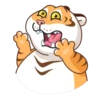 Grumpy Tiger 13