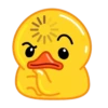 Duck 13