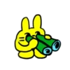 Yell💛w rabbit mov 17