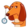 Salchicha Dog 13
