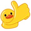 Duck 17