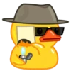 Duck 19