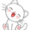 Gatitos tiernos💞2🇵🇪Movi 23