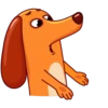 Salchicha Dog 17