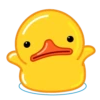 Duck 22