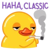Duck 23