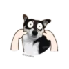 Funny Husky 7