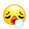 Duck Emoji 24
