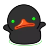 Toxic Duck 17