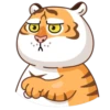Grumpy Tiger 21